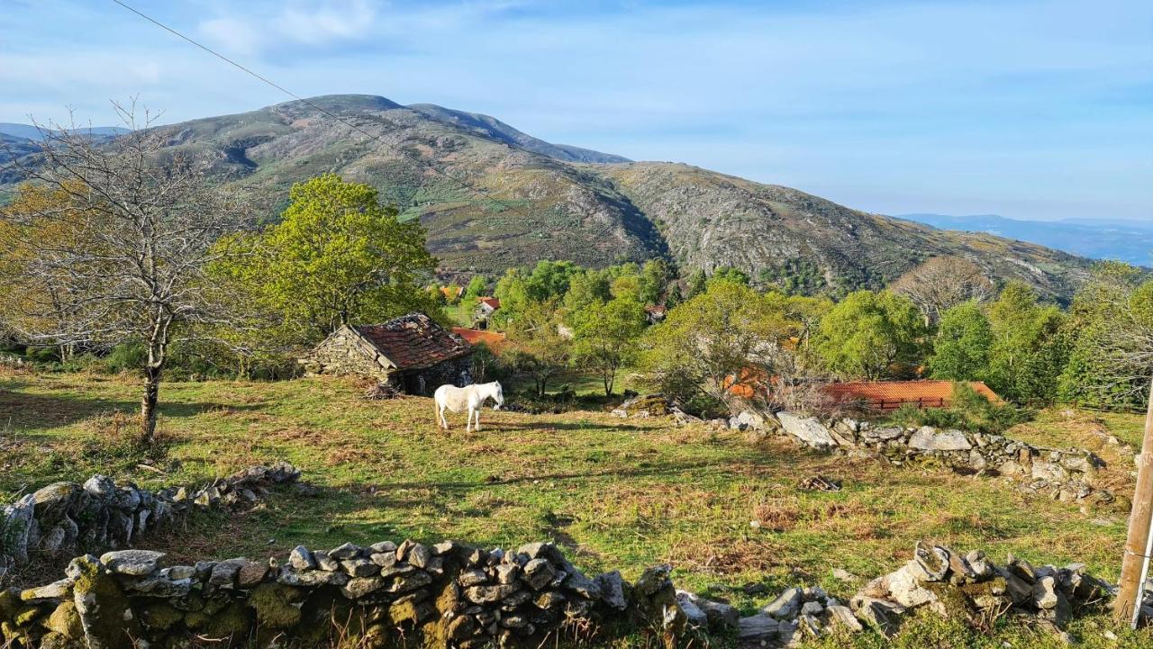 Cardenha Da Bessada Villa Branda de Santo António Екстериор снимка